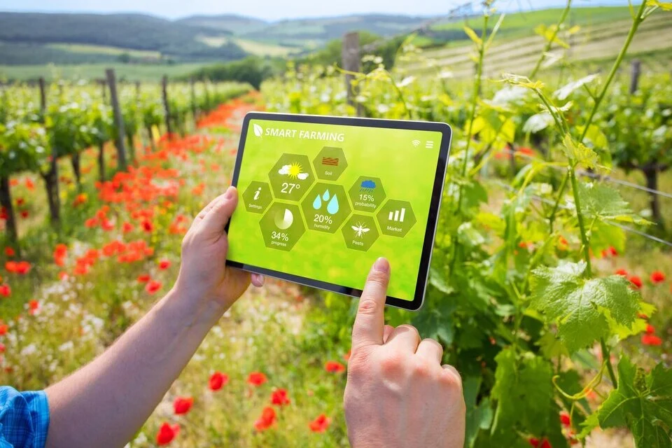 Fintech Revolutionizing Agriculture Industry